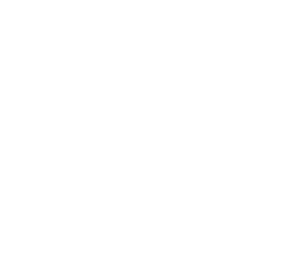 Transporte Rodoviário <br>de Cargas